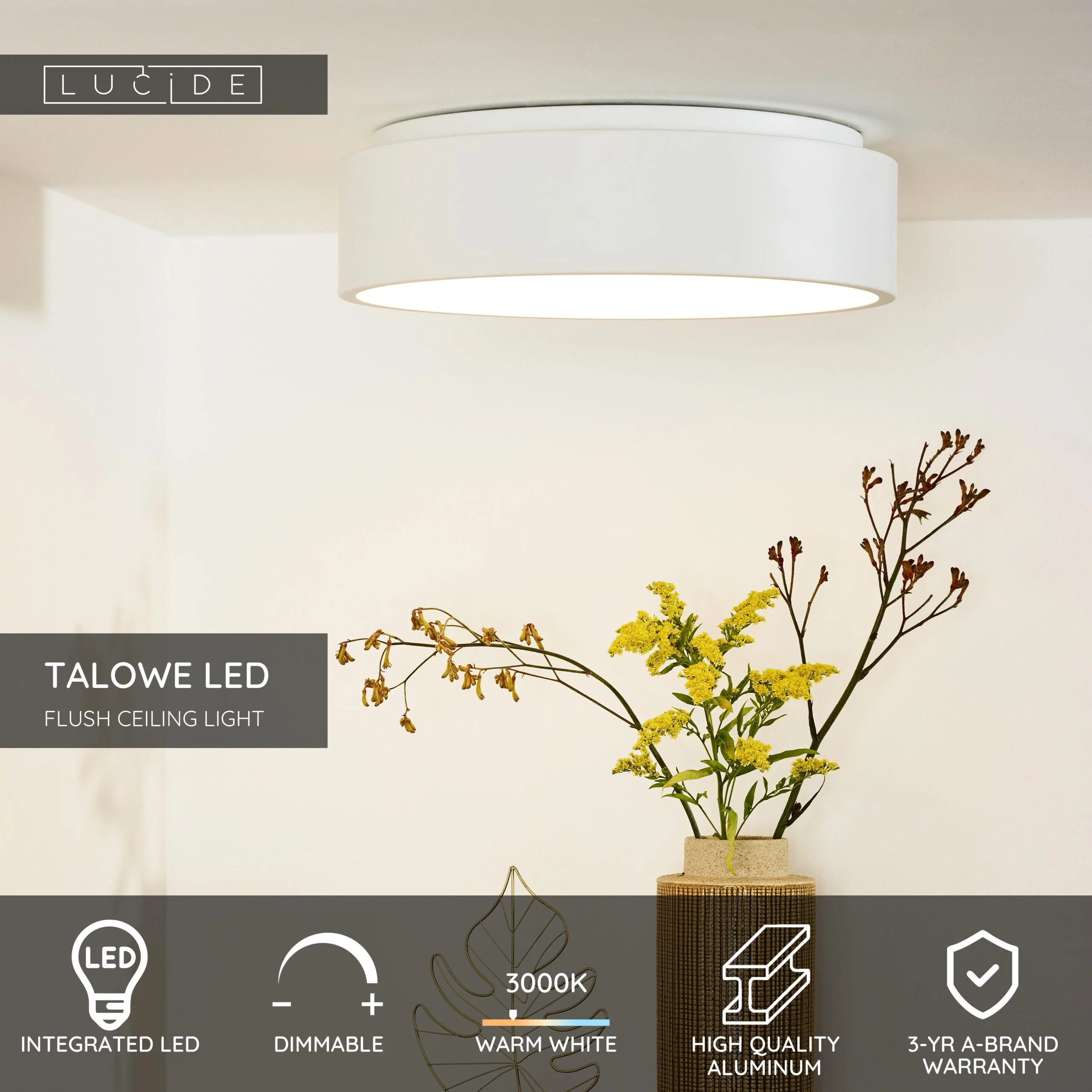TALOWE LED – Stropné svietidlá – Obrázok 3