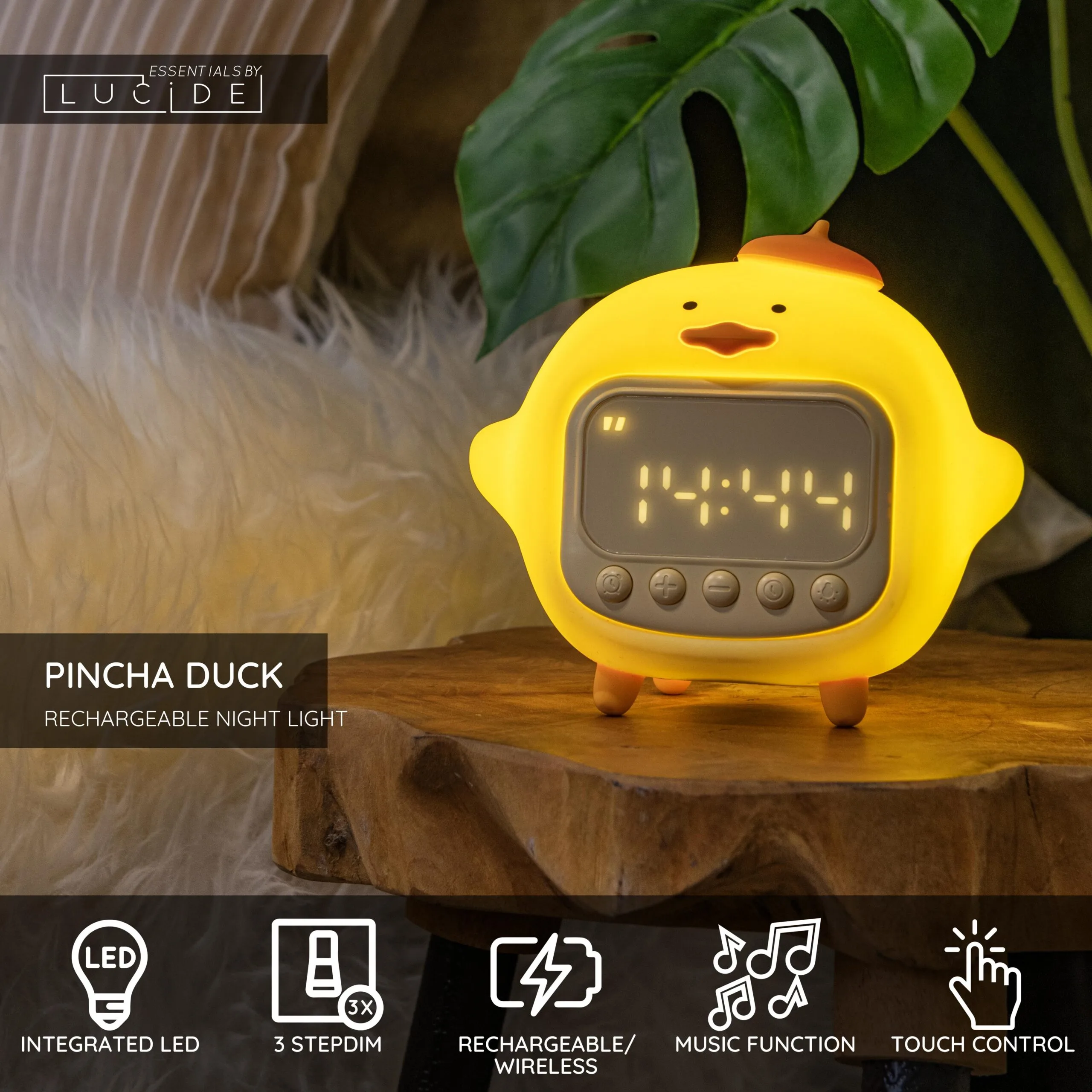 PINCHA DUCK – Nočné svetlá – Obrázok 3